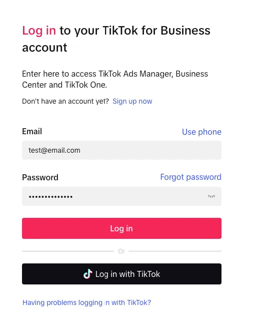 The TikTok Business login screen