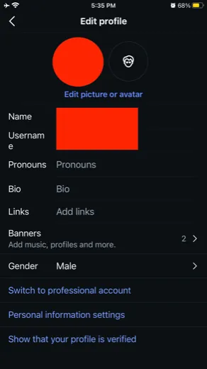 The Instagram Edit profile screen with Switch to professional account near the bottom